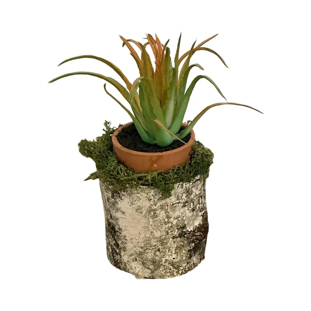 Handmade Artificial Succulent in Birch‎ Log with Moss Rustic Woodland Home Decor